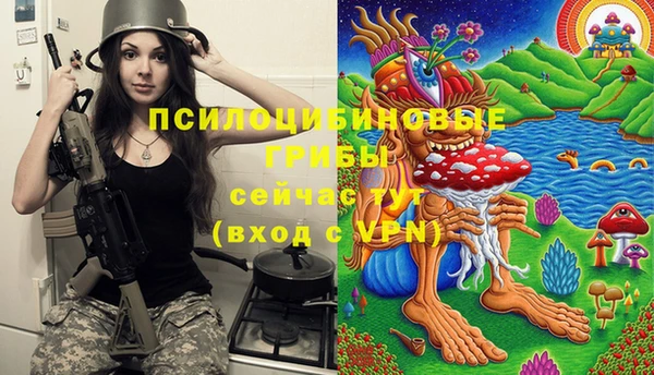 Альфа ПВП Алексин