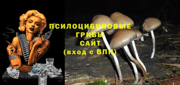 Альфа ПВП Алексин