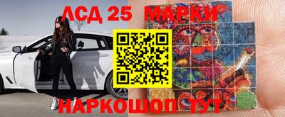 гидра Кимры