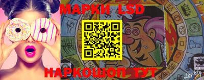 тгк Кингисепп