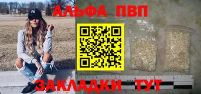 тгк Кингисепп