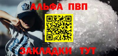 тгк Кингисепп