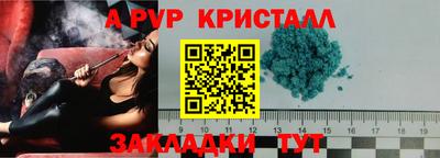 тгк Кингисепп