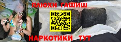 тгк Кингисепп