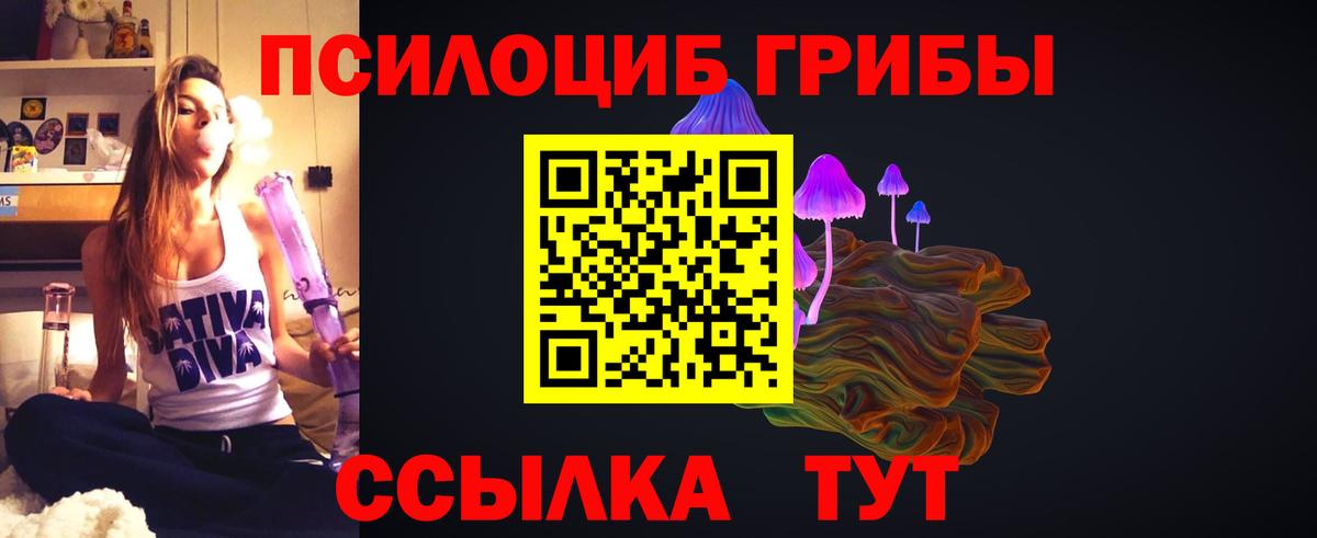 продажа наркотиков  Галлюциногенные грибы мухоморы  Галлюциногенные грибы Magic Shrooms  Вход с VPN  Кудрово 